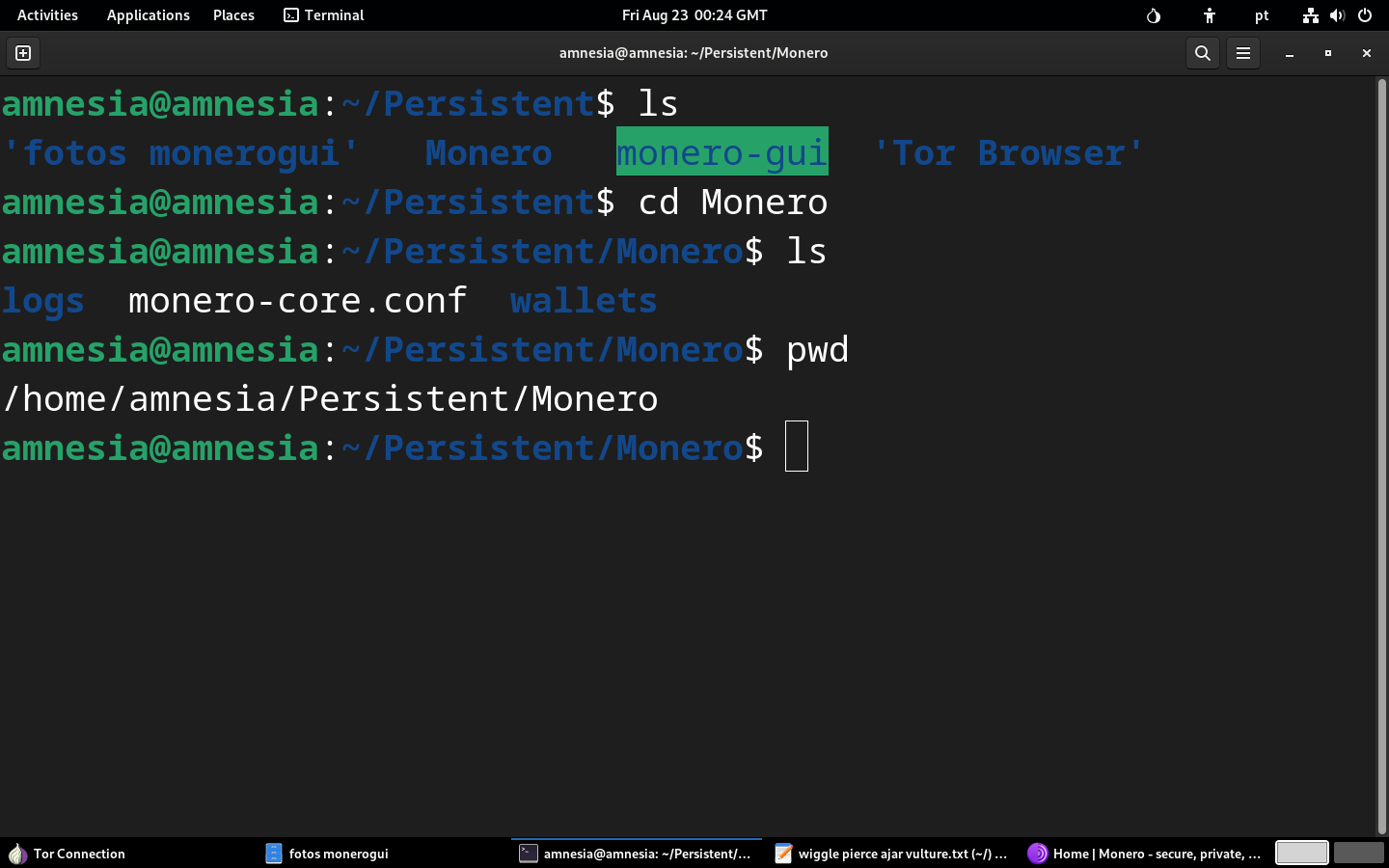 monero-gui-tails-nova-pasta-criada-com-carteira-ativada
